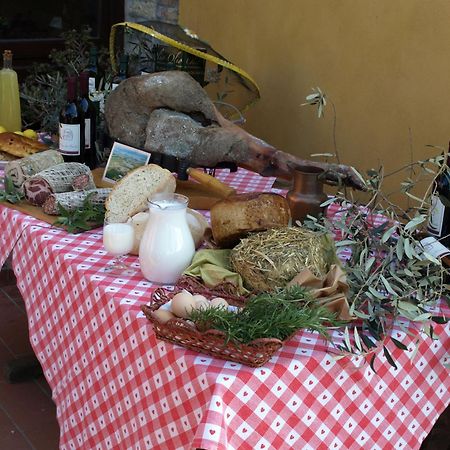 Il Giogo Agriturismo Villa Rosignano Marittimo Bagian luar foto