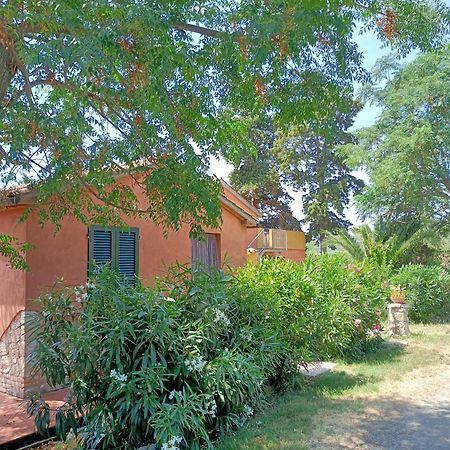 Il Giogo Agriturismo Rosignano Marittimo Bagian luar foto