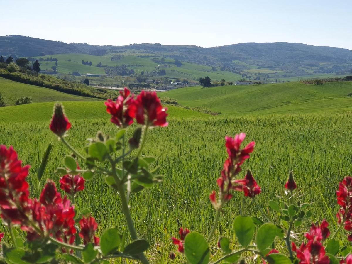 Il Giogo Agriturismo Villa Rosignano Marittimo Bagian luar foto