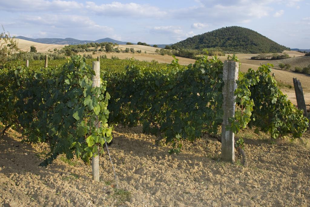 Il Giogo Agriturismo Villa Rosignano Marittimo Bagian luar foto