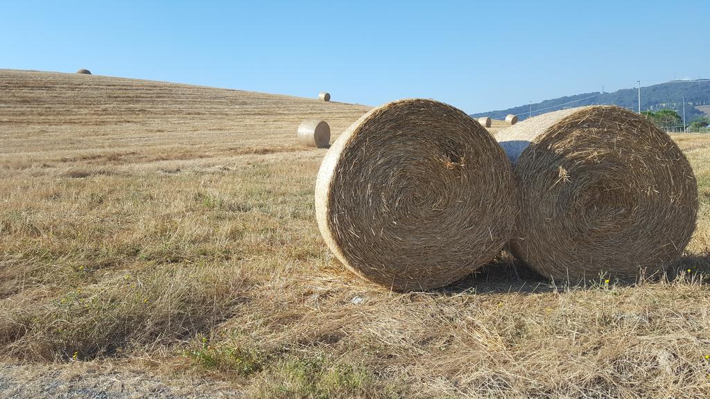 Il Giogo Agriturismo Villa Rosignano Marittimo Bagian luar foto