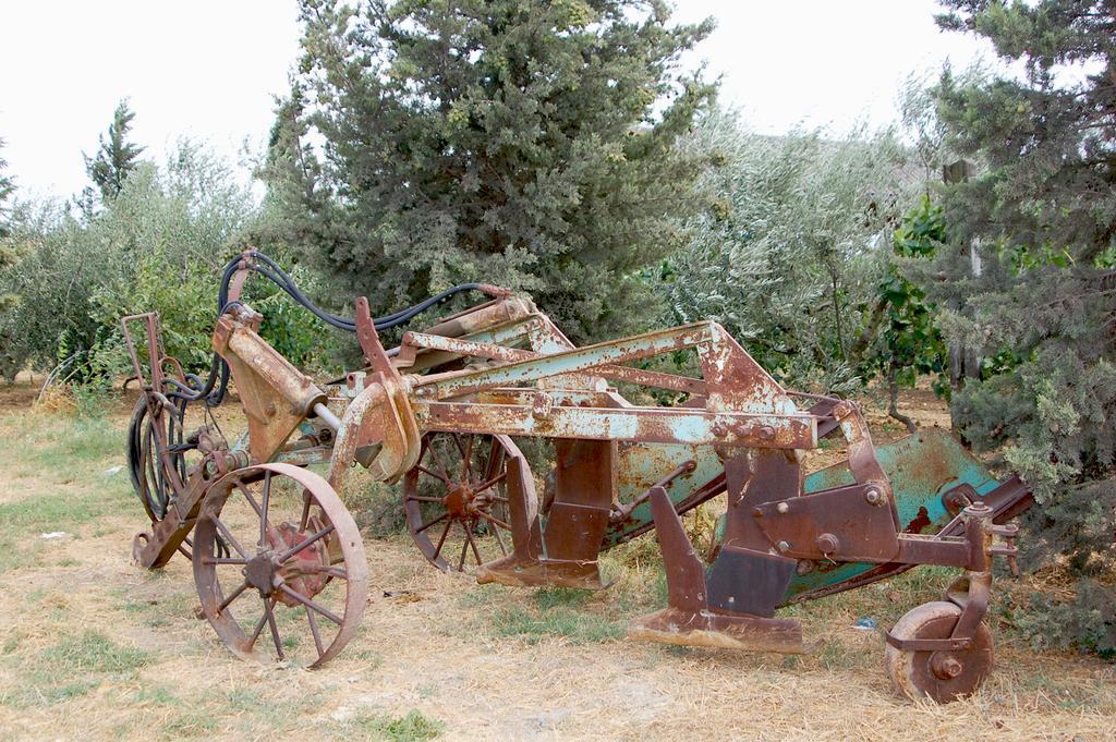 Il Giogo Agriturismo Villa Rosignano Marittimo Bagian luar foto