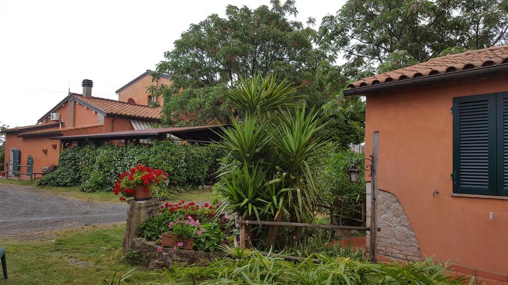 Il Giogo Agriturismo Rosignano Marittimo Bagian luar foto