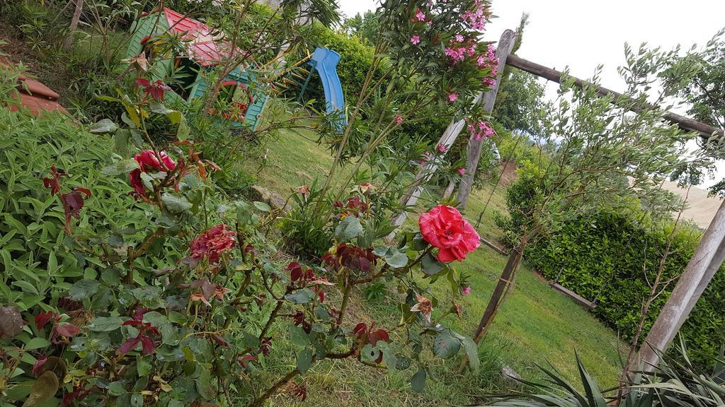 Il Giogo Agriturismo Villa Rosignano Marittimo Bagian luar foto