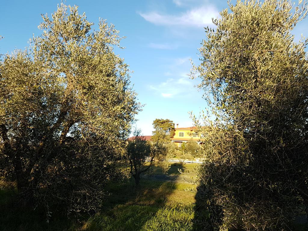 Il Giogo Agriturismo Villa Rosignano Marittimo Bagian luar foto