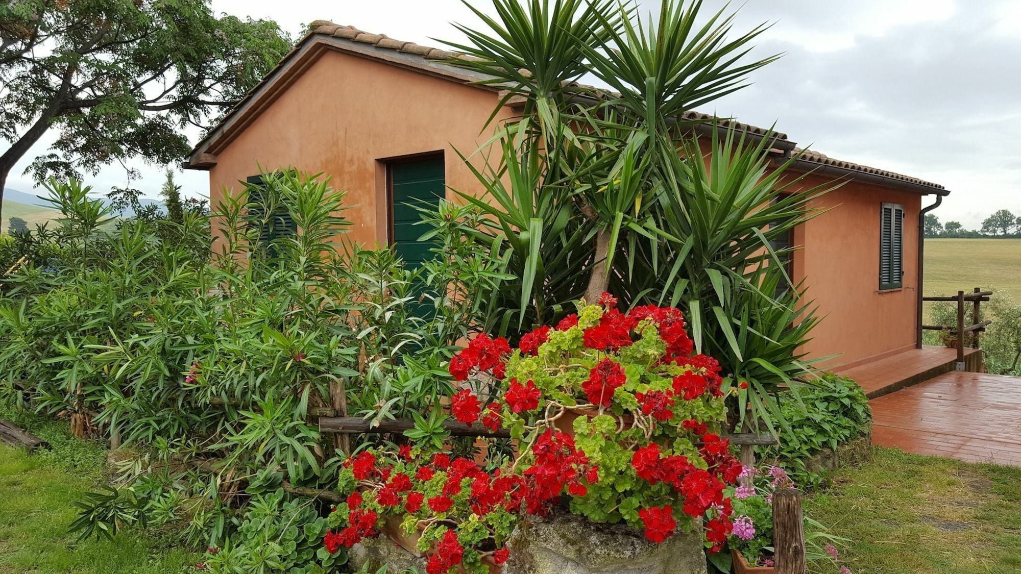 Il Giogo Agriturismo Villa Rosignano Marittimo Bagian luar foto